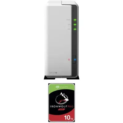 Seagate IronWolf Pro NAS 硬碟 (1 x 10TB)
