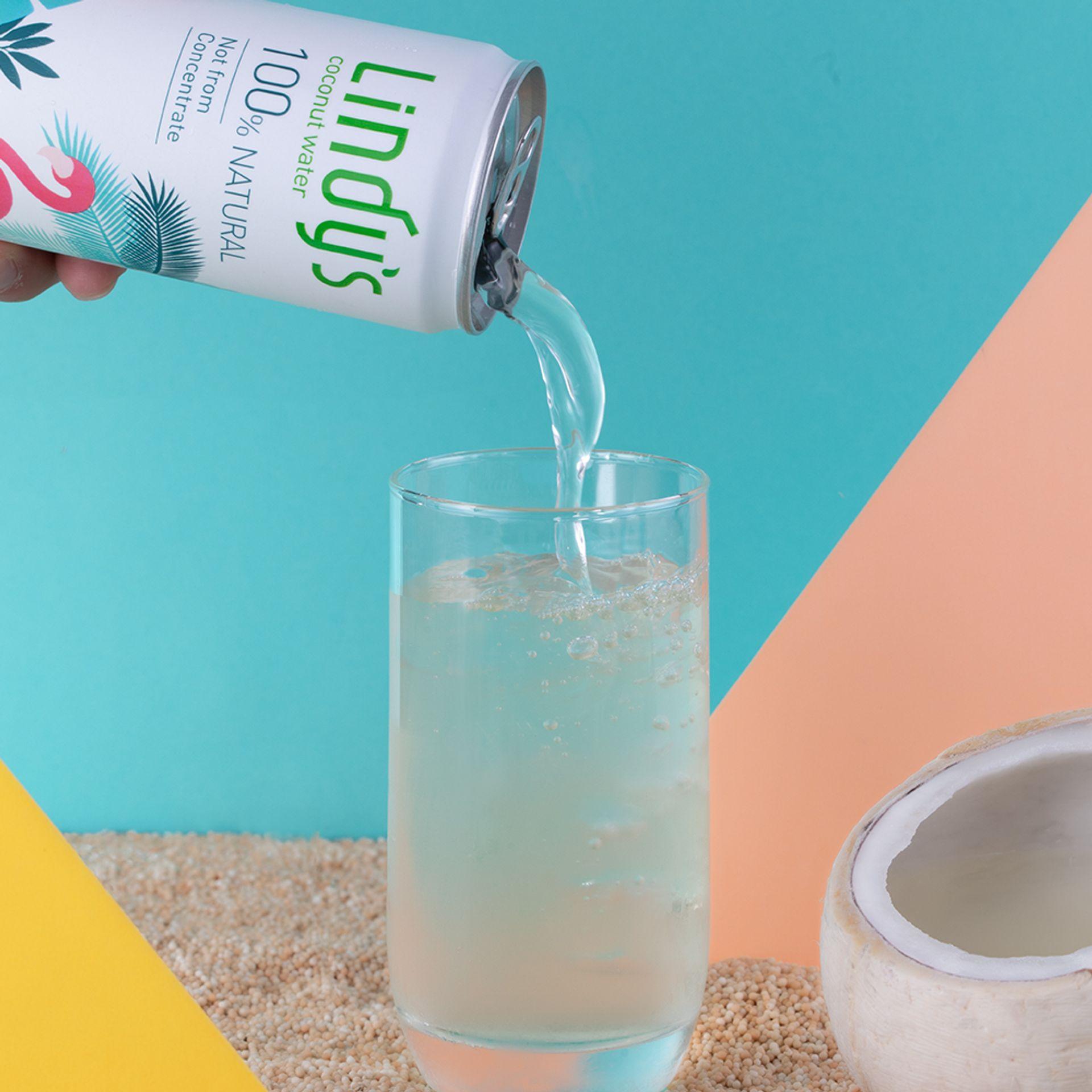 Lindys 原味椰子水 (24入/箱)