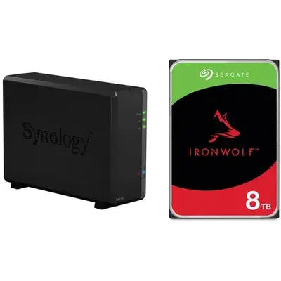 Seagate NAS 硬碟 (1 x 8TB)