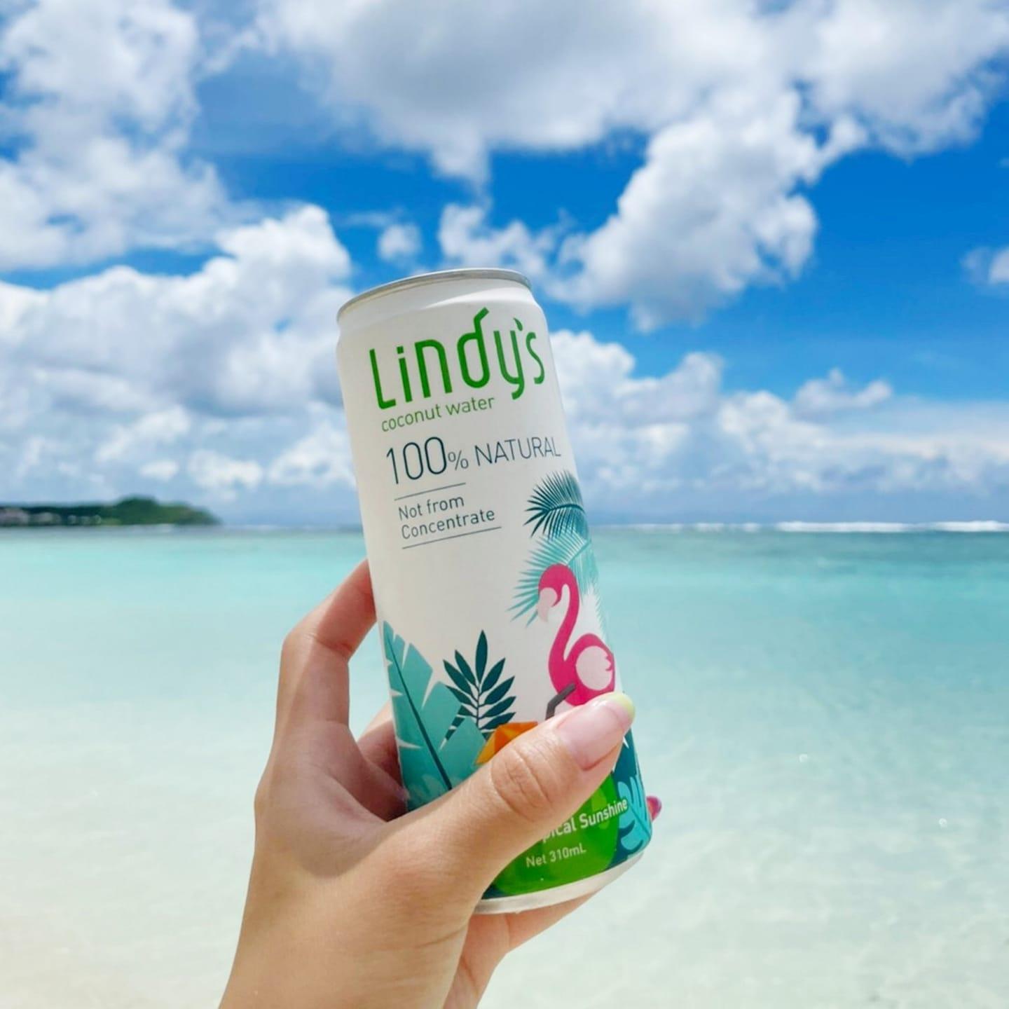 Lindys 原味椰子水 (24入/箱)