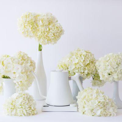 FELLOW - STAGG EKG 電子溫控手沖壺 600ml