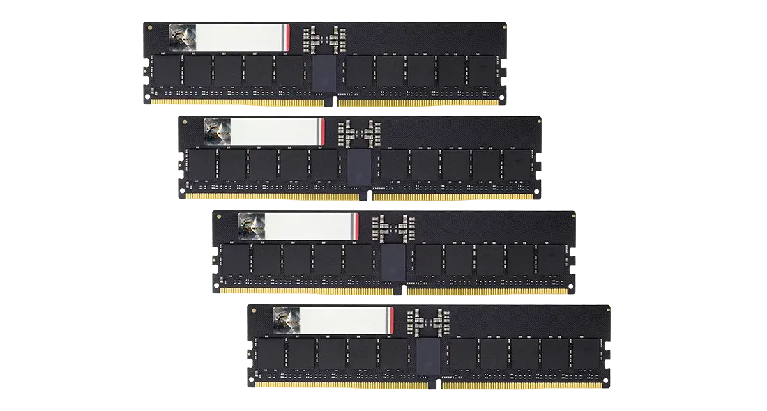 F5-6400R3239G48GQ4-G5N 高效能 DDR5 記憶體模組