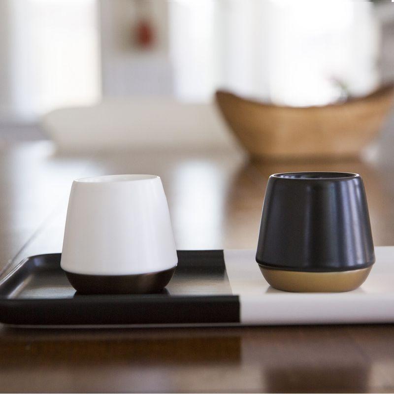 FELLOW - JUNIOR 雙層陶瓷杯 8oz