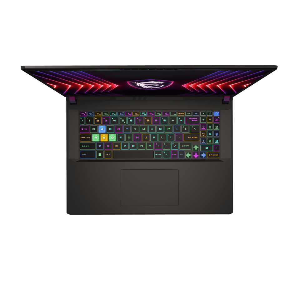 MSI 微星 Vector 17 HX A14VGG-208TW 電競筆電(i9-14900HX/RTX4070-8G/32G/1TB SSD/W11)