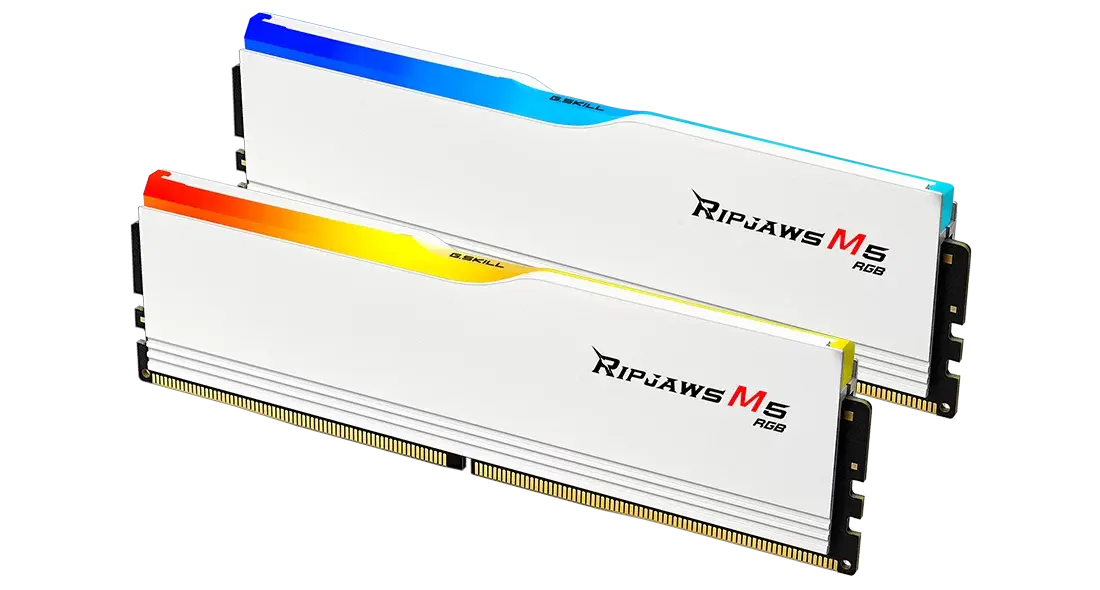 RAM