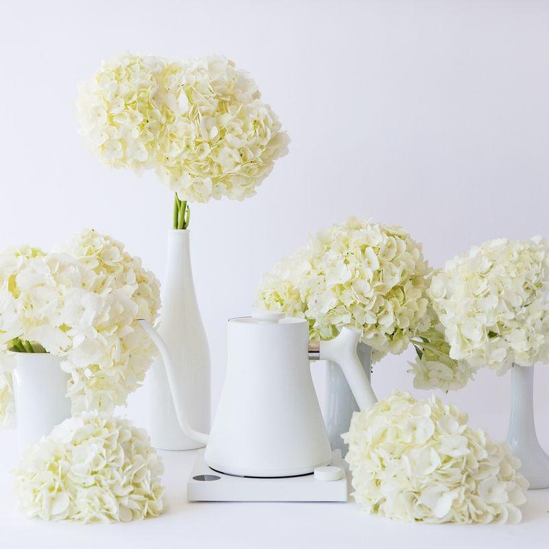 FELLOW - STAGG EKG 電子溫控手沖壺 600ml