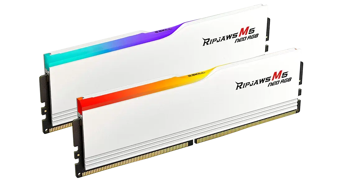 RAM